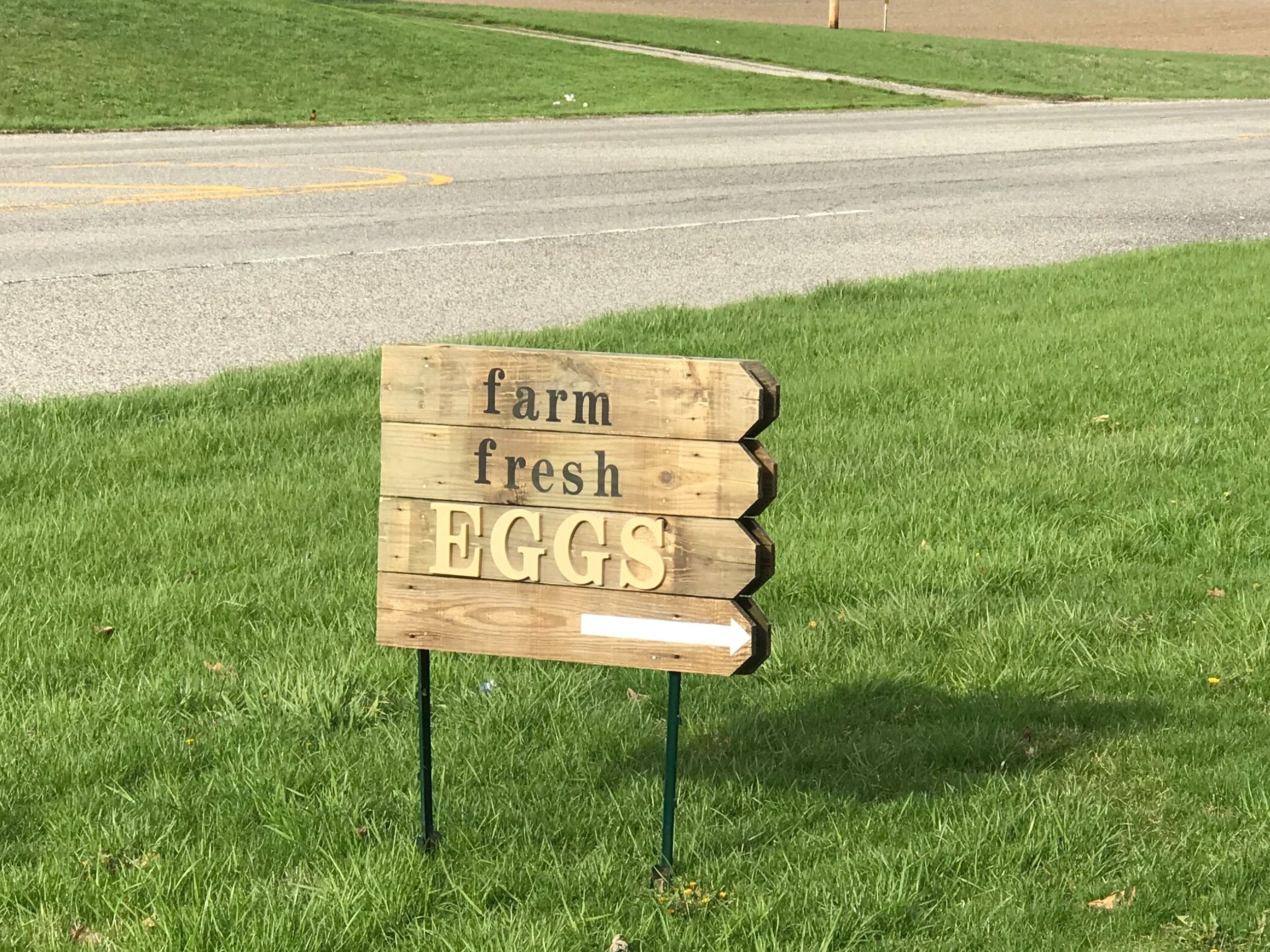 Wooden sign advertising farm fresh eggs, positioned on grassy roadside with a rural backdrop, promoting locally sourced produce.