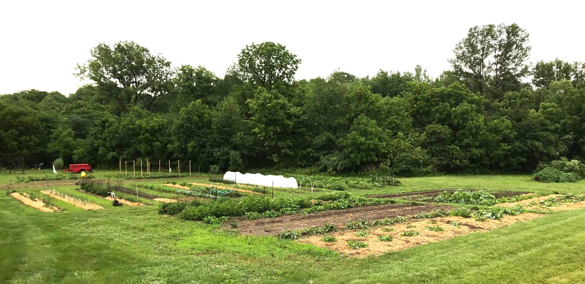 Bland+family+farm2 Aerial view of a lush vegetable garden featuring neatly arranged rows of crops, surrounded by greenery and trees. The garden includes various plants, some covered with protective cloths, and a red trailer parked nearby, highlighting sustainable gardening practices.
