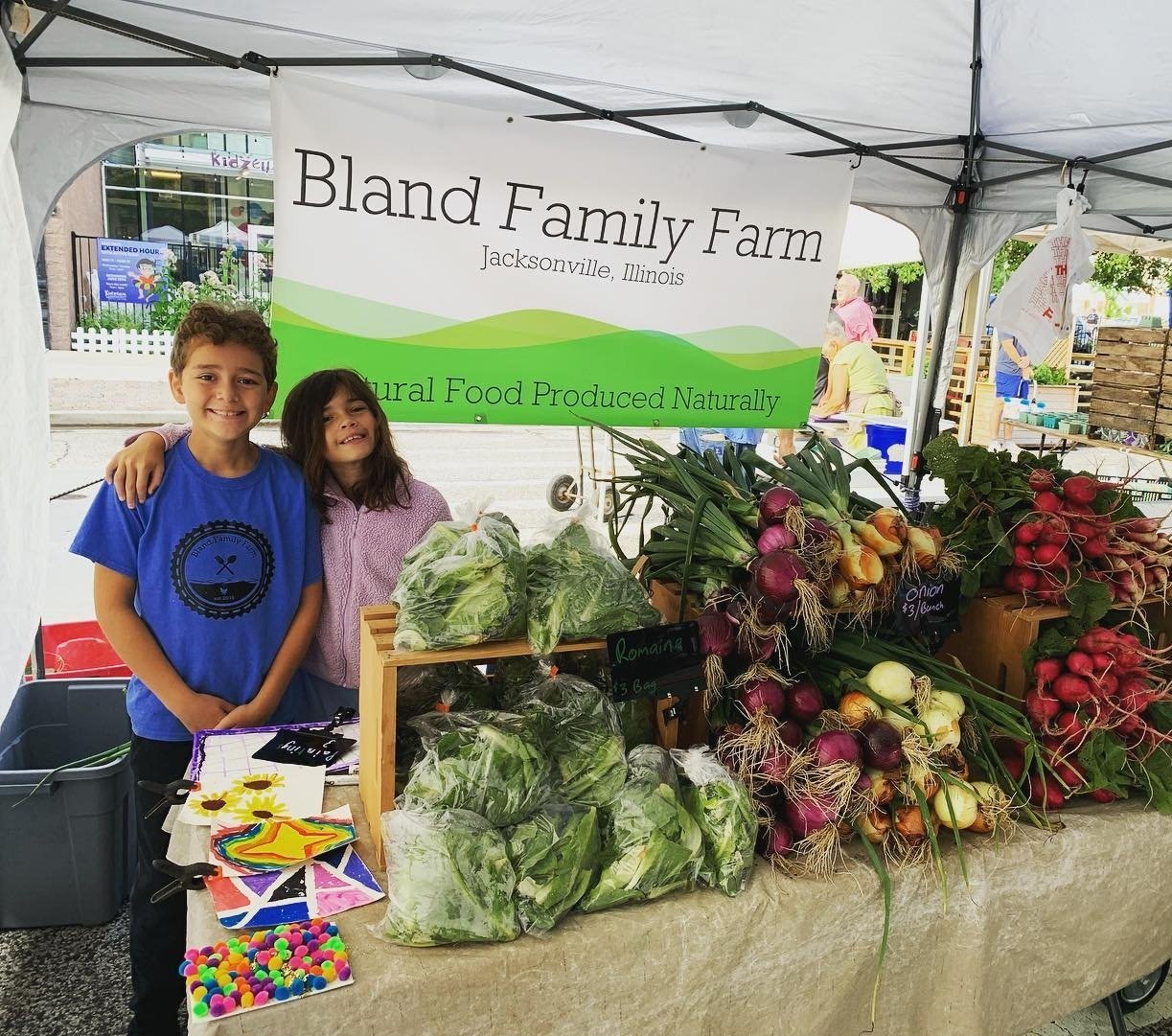 image-asset (63) Children at the Bland Family Farm booth in Jacksonville, Illinois, showcasing fresh produce like lettuce, onions, and radishes, while promoting natural food.