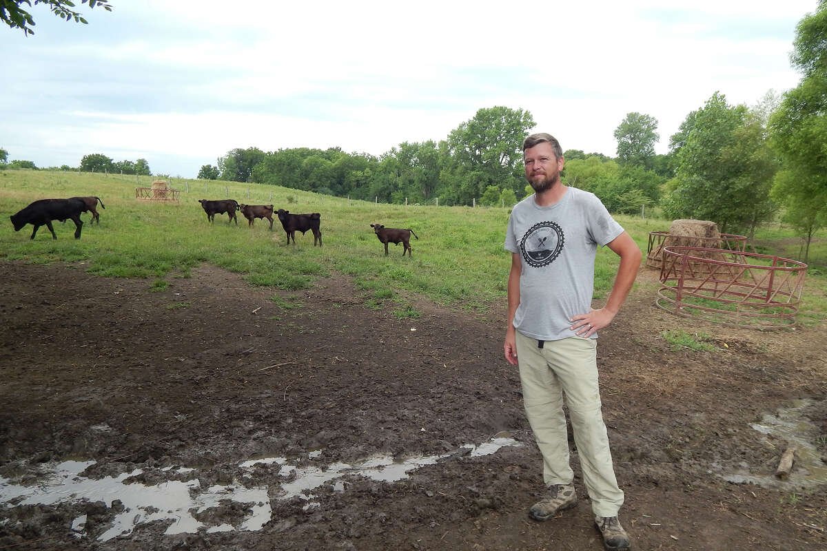 A farmer standing in a grassy field with several cows grazing in the background, showcasing a rural landscape with trees and a hay feeder.